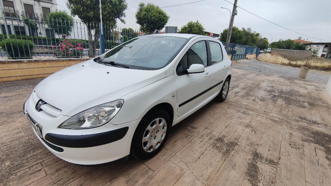 PEUGEOT 307