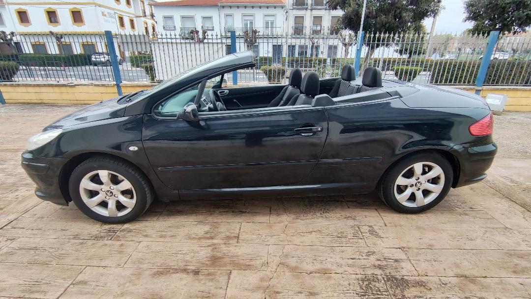 PEUGEOT 307 DESCAPOTABLE